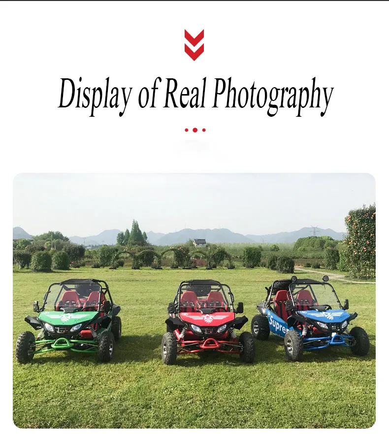 Gasoline 4 Stroke 200cc Racing Go Kart for Sale, off Road Dune Buggy for Adults