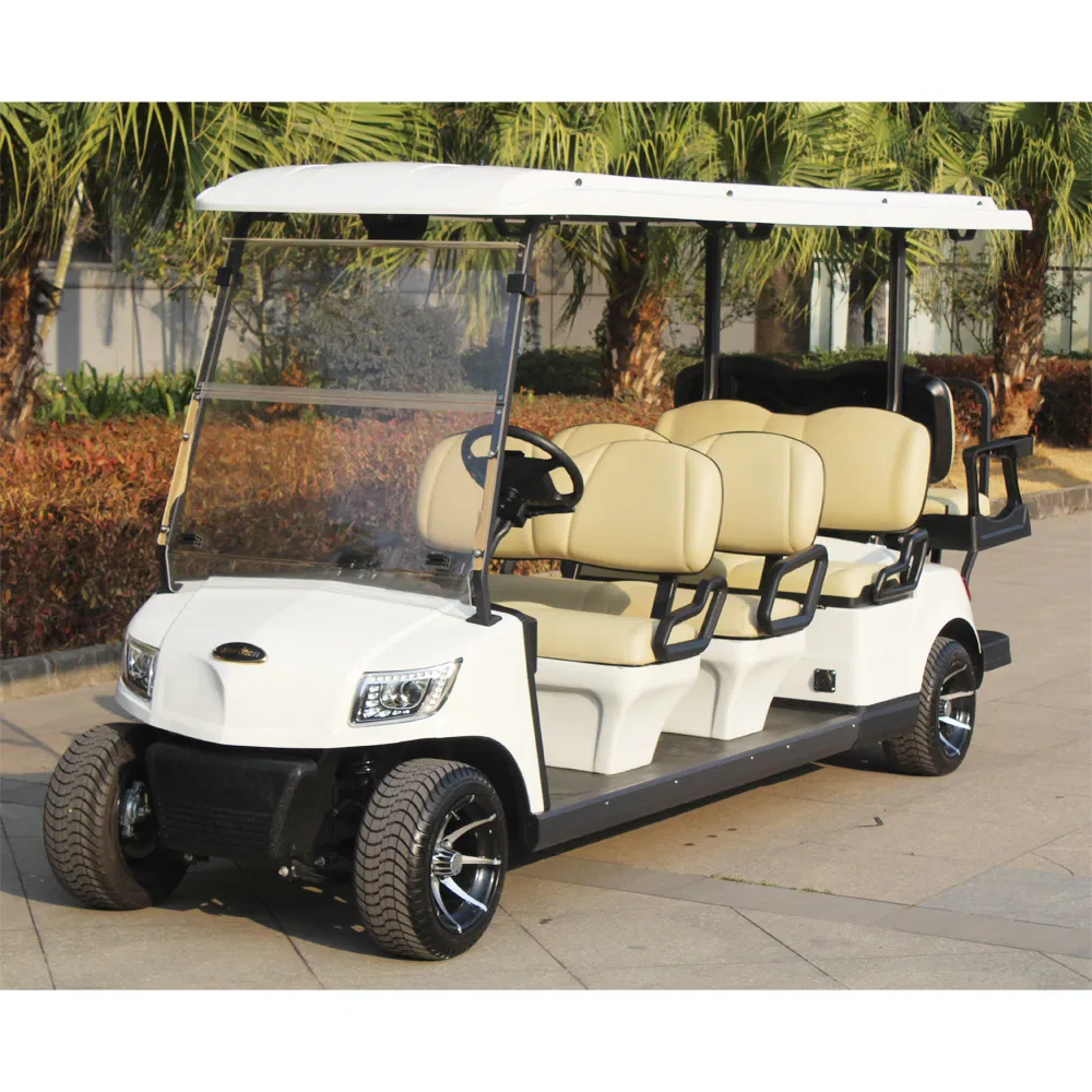 Golf Buggy Electric Lifted Golf Car Mini Golf Cart with Windshield (DG-M6+2)