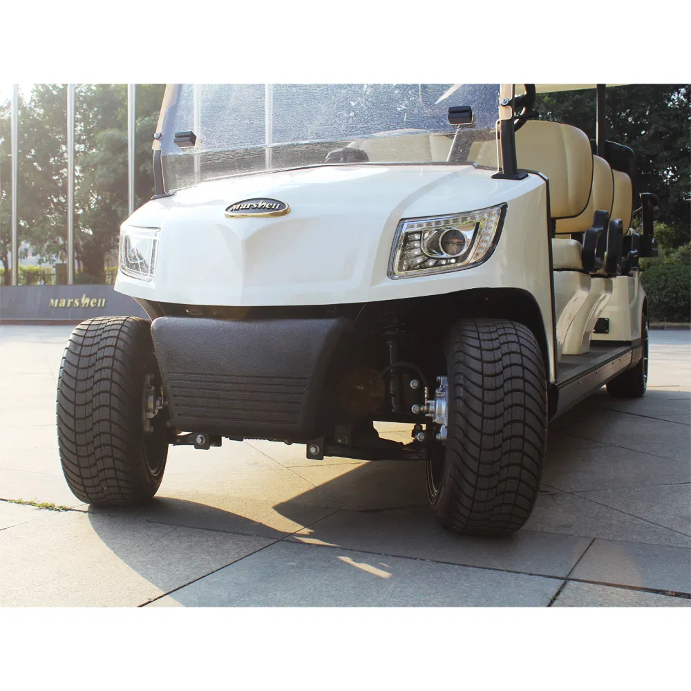 Golf Buggy Electric Lifted Golf Car Mini Golf Cart with Windshield (DG-M6+2)