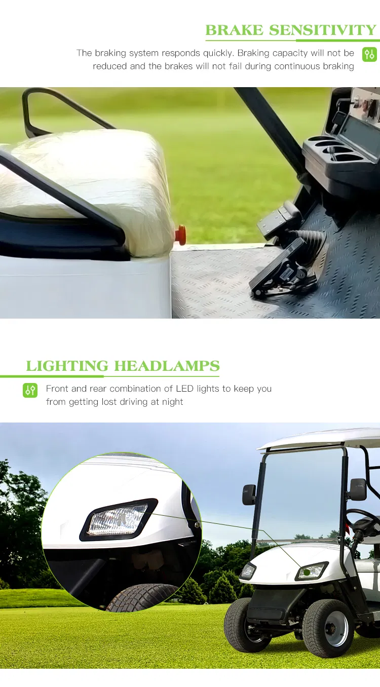 Good Service Intelligent High-Frequency Charger CE Approved Haike Carf Golf Car Hkgr-A42