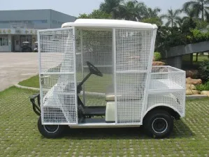 High Quality 2 Seaters White Elctric Pick-up Ball Car