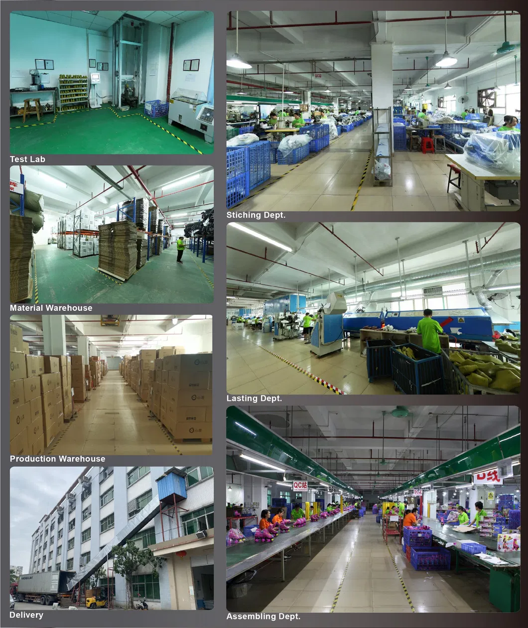 Innovative for Kids Scooter, Cute Dog′s Brake Pedal-En-14619-B/En71 Approved