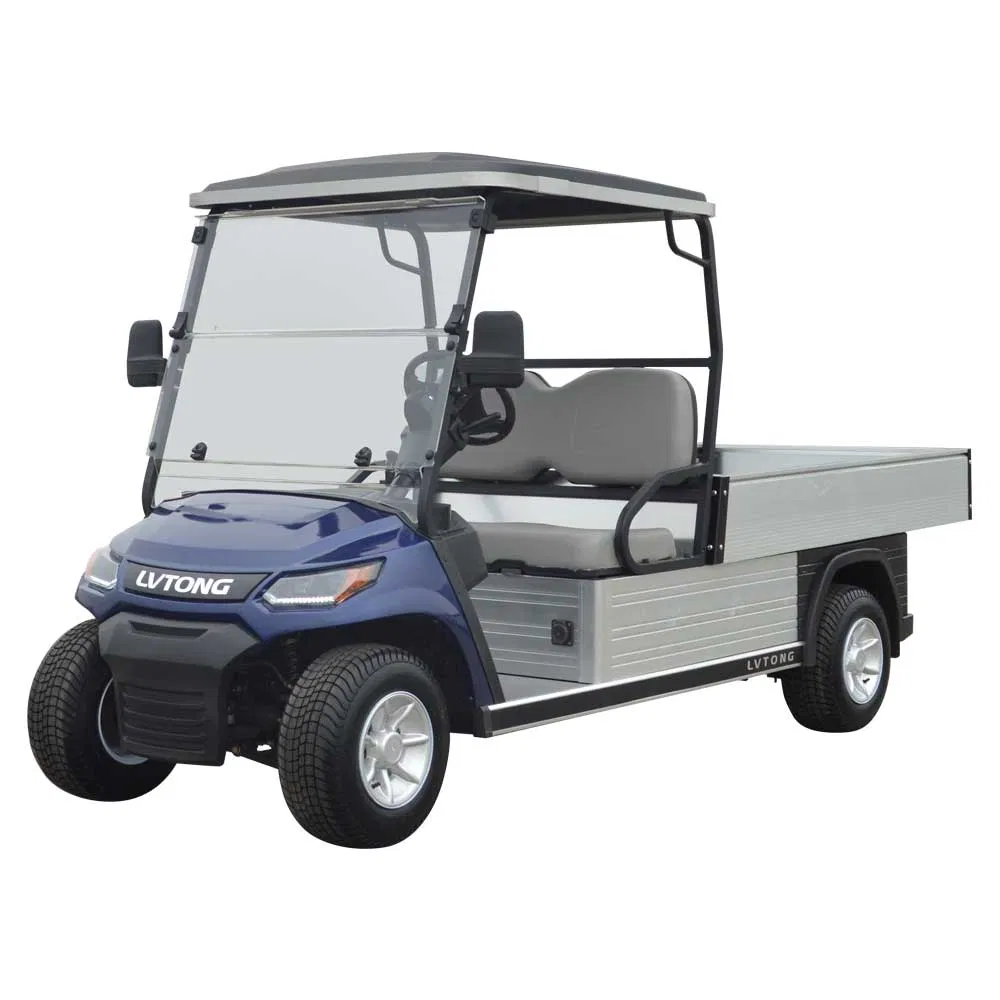 Lvtong Mini Cart 2 Passengers Electric Golf Buggy