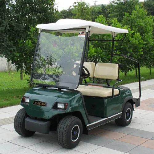 New 2 Seats Electric Buggy