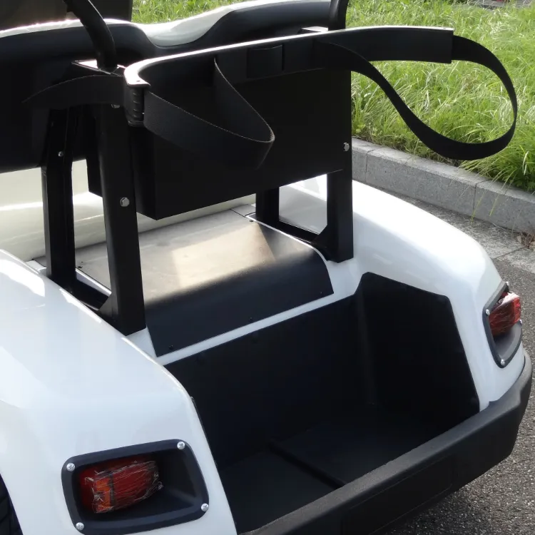 New 2 Seats Golf Cart with Bucket for Resort