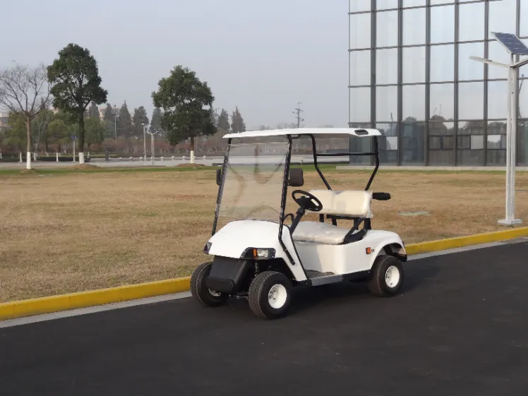New 2 Seats Golf Cart with Bucket for Resort