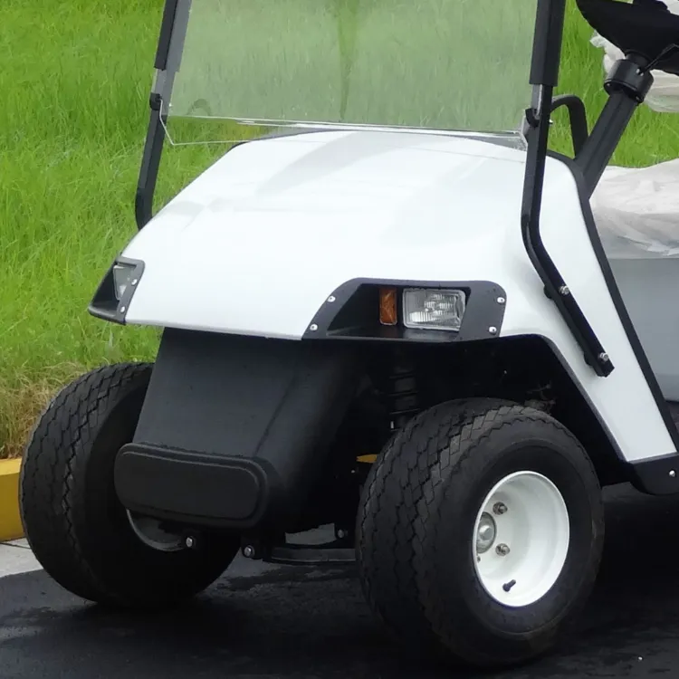 New 2 Seats Golf Cart with Bucket for Resort