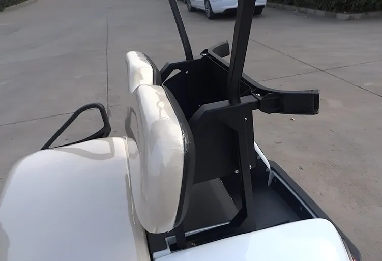 New 2 Seats Golf Cart with Bucket for Resort