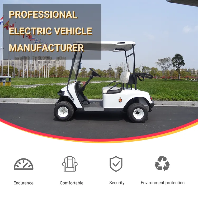 New 2 Seats Golf Cart with Bucket for Resort