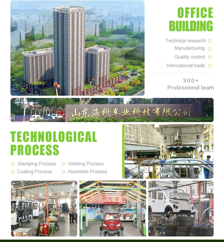 New Haike Buggy/Golf Carts Electric Golf Cart Hkev-G2