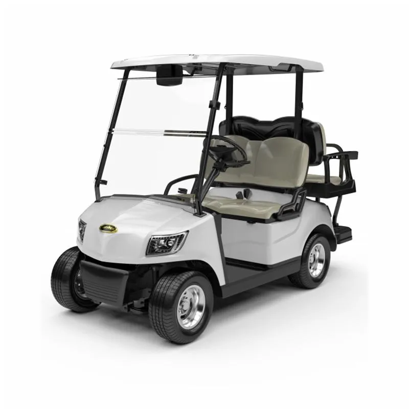 off Road Battery Powered Golf Car Electric Lifted Golf Cart (DG-M2+2)