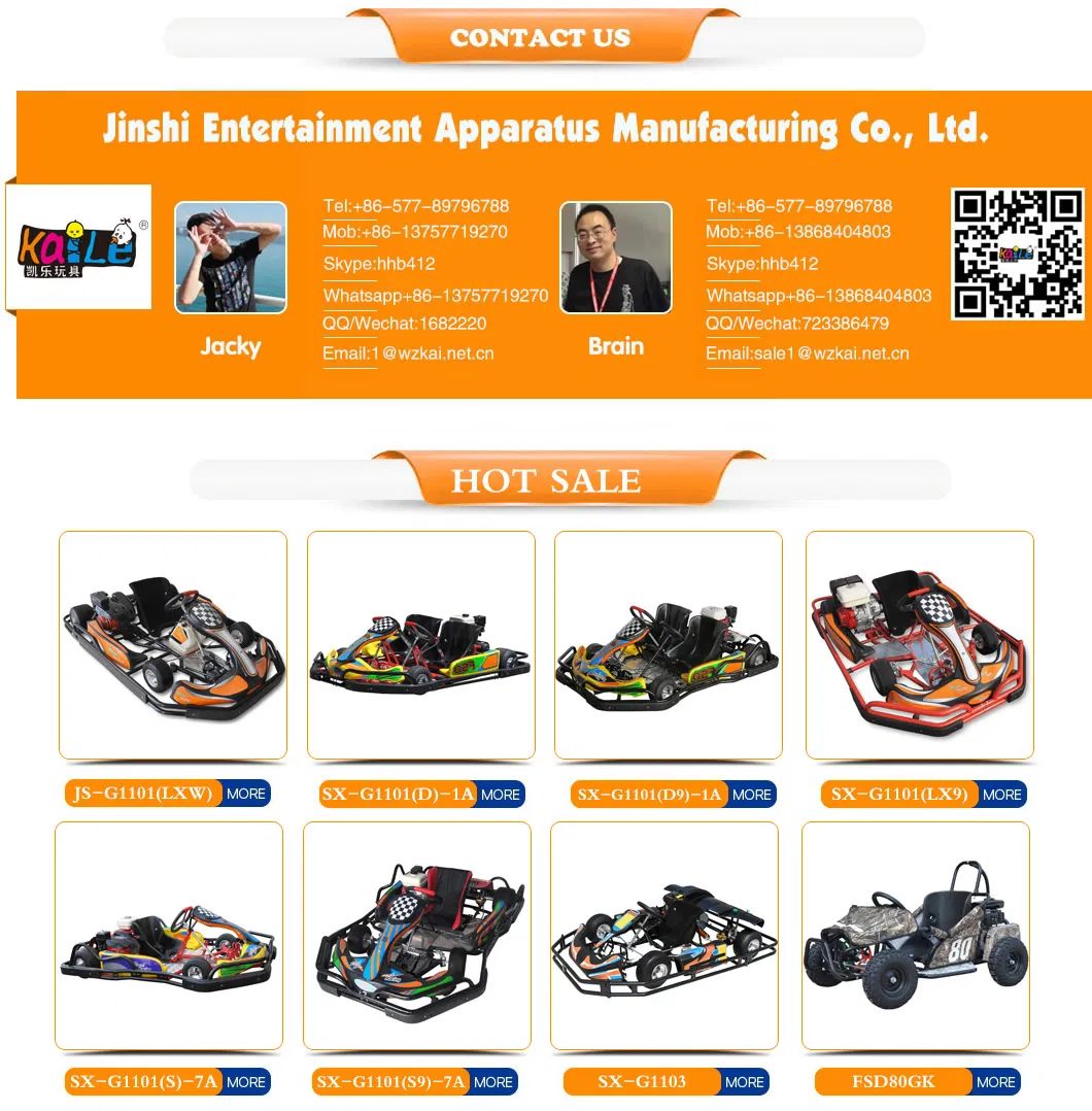 Outdoor Racing Adult Gasoline Pedal 2persons Double Seats Lifan 177f 270cc Go Kart