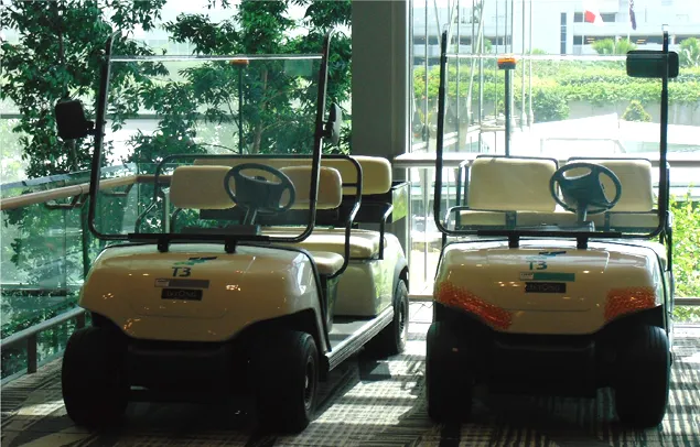 White 8 Seaters Electric Sightseeing Car