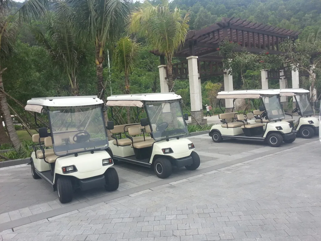 White 8 Seaters Electric Sightseeing Car