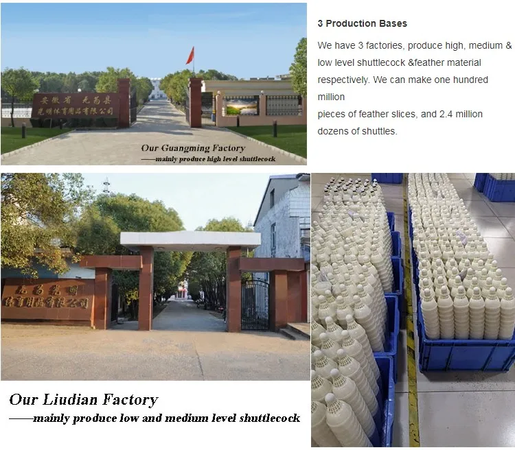 Wholesale Durable and Stable Badminton Shuttlecock Aeroplane Black Eg1130 Quality