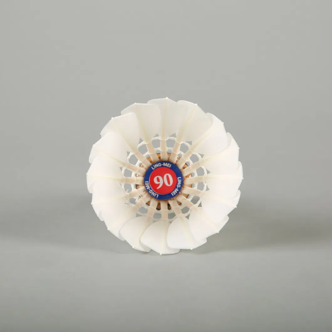 Wholesale Durable and Stable Badminton Shuttlecock Aeroplane Black Eg1130 Quality