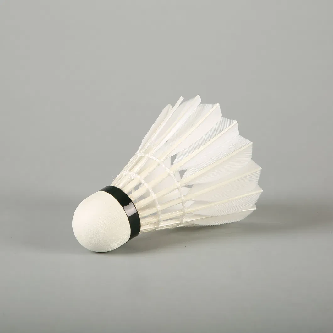 Wholesale Durable and Stable Badminton Shuttlecock Aeroplane Black Eg1130 Quality