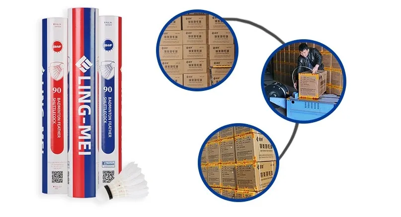 Wholesale Durable and Stable Badminton Shuttlecock Aeroplane Black Eg1130 Quality