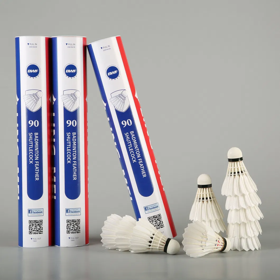 Wholesale Durable and Stable Badminton Shuttlecock Aeroplane Black Eg1130 Quality