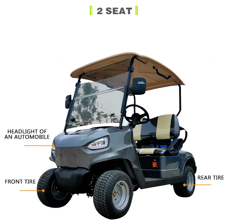 Wholesale High Power Offroad Electric Golf Cart 2 Seats for Hot Sale CE Certificate