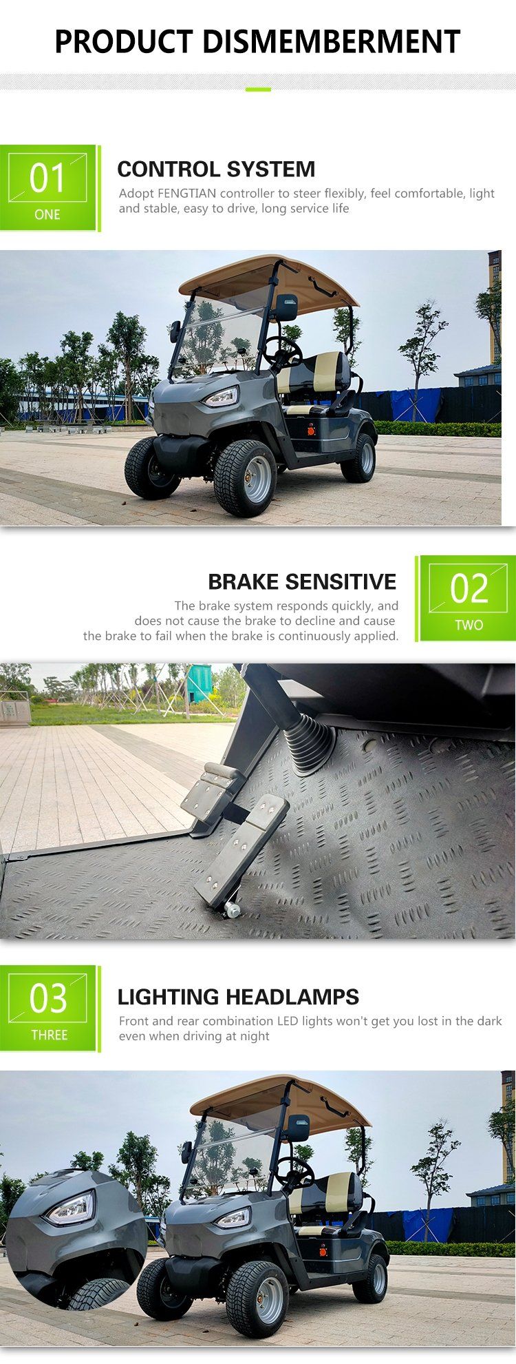 Wholesale Hot Sale Best Price Electric Golf Cart 2 Seaters Buddy High Power